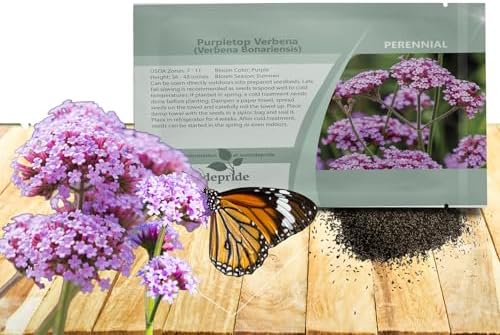 Outsidepride Purpletop Verbena Seeds for Planting - 5000 Pcs. Annual, Drought Tolerant & Easy to Grow, Ground Cover with Fragrant & Vibrant Blooms for Containers, Borders & Pollinator Gardens