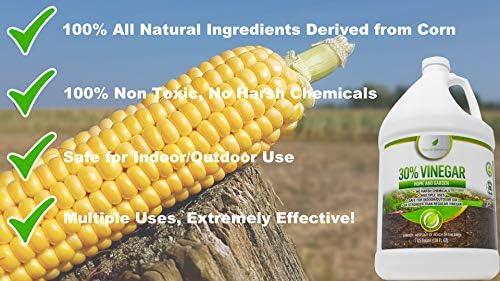 Natural Elements 30% Vinegar | (2) 1 Gallon Pack | Home and Garden Vinegar …