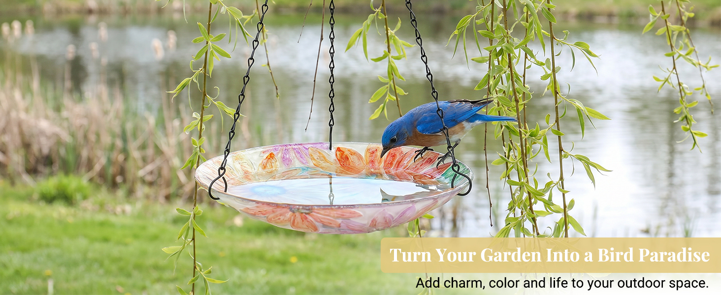 Turn Your Garden Into a Bird Paradise
