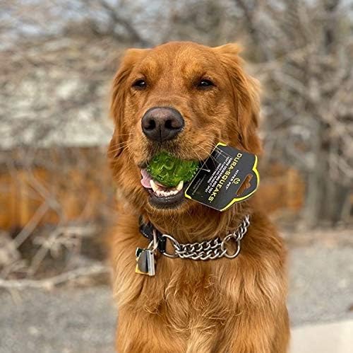 Hyper Pet DuraSqueak Dog Ball Toy, Interactive Dog Toys that Float and Squeaks for Playing, Fetching and Retrieving-Great Alternative to Traditional Tennis Balls Green 2.5 Inch | Bold sound effects reward play, a fresh alternative to traditional tennis o…