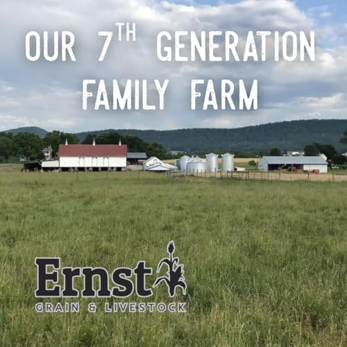 Ernst Grain & Livestock Whole Corn – Perfect Feed for Deer, Squirrels, Chickens, Ducks, Rabbits, Geese, and More! (46 Pound)