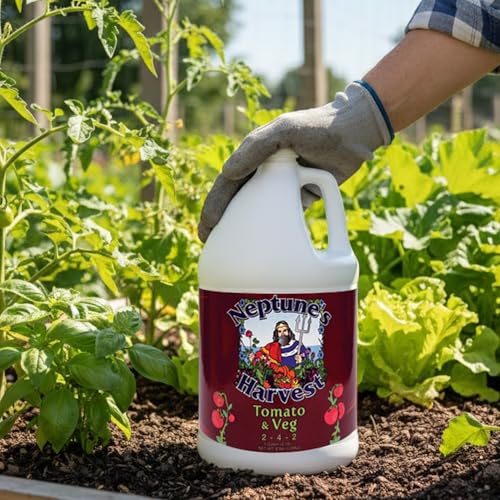 Neptune’s Harvest Organic Tomato & Vegetable Plant Fertilizer (2-4-2) - Liquid Plant Food w/Fresh Fish, Seaweed, Molasses, Yucca Extract, & Humic Acids - for Vegetable Garden (Gallon)