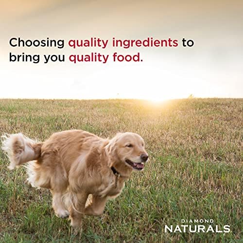 Diamond Naturals Large Breed Adult Dry Dog Food, Chicken & Rice, 40lb | With Real Cage Free Chicken | Glucosamine & Chondroitin to Help Support Large Breed Dogs | Probiotics for Digestive Support