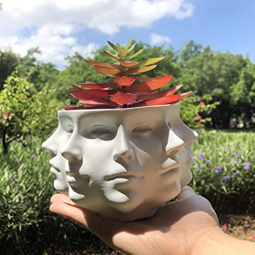Resin Multi-Face Head Planter, Indoor Succulent Decor