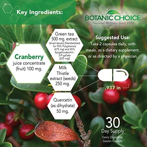 Botanic Choice Ultra Kidney Complex Kidney Support Supplement, 60 Capsules | Supports kidney health and helps flush toxins with milk thistle