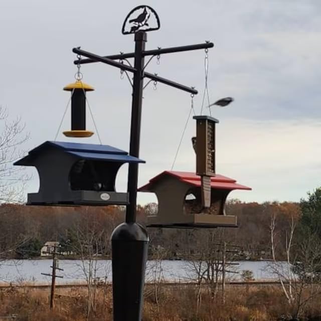 Squirrel Stopper Deluxe Squirrel Proof Bird Feeder Pole with Patented Spring Baffle, Heavy Duty Galvanized Steel Pole System with Auger, Raccoon Proof