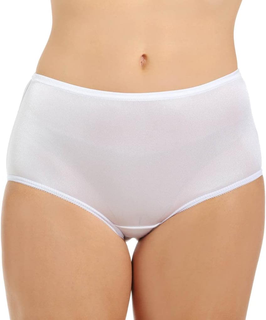 Teri Women's 331 Plain Jane Classic Nylon Silky-Smooth Lightweight Breathable Full Coverage Brief Panty - 4 Pack