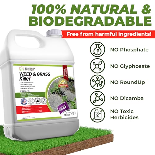 ECO Garden PRO - Organic Vinegar Weed Killer | Kid/Pet Safe | Clover Moss, Green Grass & Poison Ivy Killer for Lawns | Spray Ready Glyphosate Free Herbicide (1 Gallon)