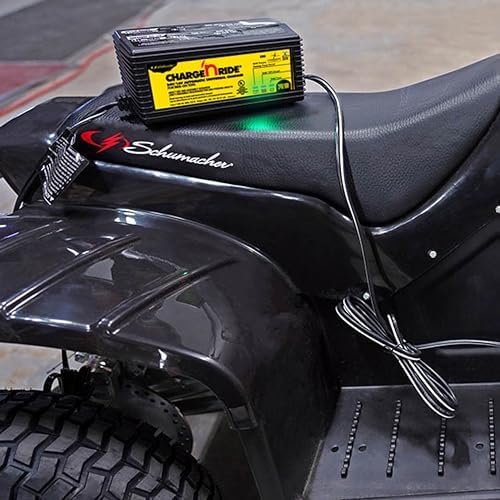Schumacher Electric Charge 'n Ride Universal Battery Charger and Maintainer for Ride-on Toys, CR1, 2-in-1, Fully Automatic, 3 Amps, 6 Volt, 12 Volt, Use with MotionTrendz, Power Wheels, and Peg Pergo