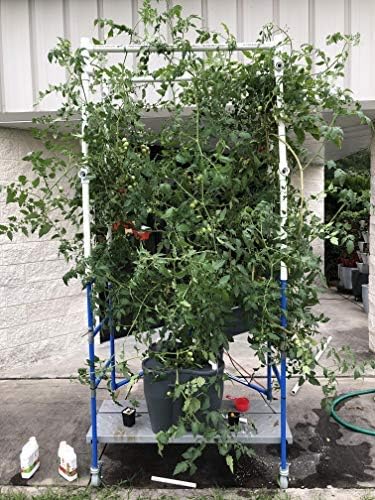 16.5 Gallon Deep Water Culture (DWC) Hydroponic Growing System Complete Kit (1)