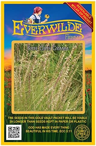 1 Lb Side-Oats Grama Native Grass Seeds - Gold Vault