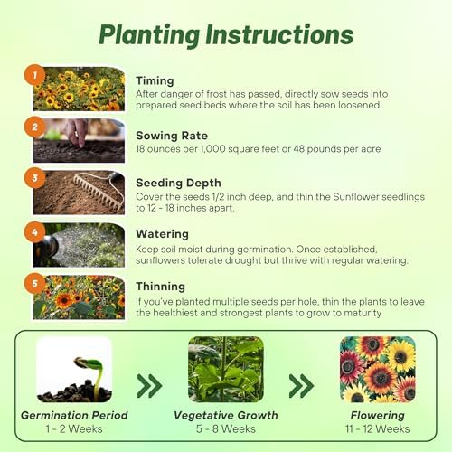 Outsidepride Autumn Beauty Sunflower Seeds for Planting - 1 Lb. Annual, Easy to Grow Flower Seeds w/Vibrant, Abundant Blooms for Cut Flower Arrangements & Pollinator & Vegetable Gardens