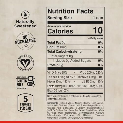 FOCUSAID Nootropic Energy Drink, 12 fl oz (12-Pack) | Nootropic energy drink with Alpha-GPC, GABA, B-Complex, Yerba Mate, & 100mg natural caffeine. 100% clean brain fuel.