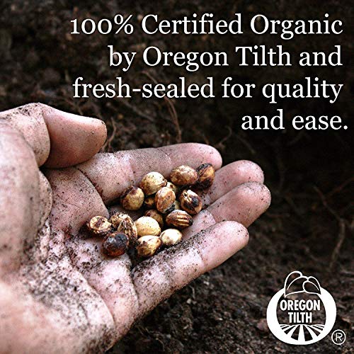 Handy Pantry Organic Whole Wheat Kernels Hard White Wheat Grain 1Lb Non-GMO | Heirloom Wheat Seeds for Hard White Wheat Berry Seeds for Sprouting Organic Wheatgrass Wheat Berry Bread Winter Wheat Seed