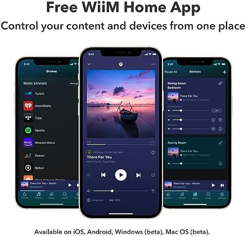 WiiM Pro Plus Music Streamer for Stereo Systems, Modernize Your Hi-Fi | Upgrade Your Stereo with Hi-Res Streaming, AirPlay 2, Spotify Connect