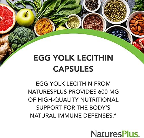 NaturesPlus Egg Yolk Lecithin - 600 mg, 180 Capsules - Soy Free, Gluten Free - 90 Servings