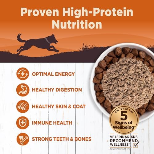 Wellness CORE 95% Adult Canned Wet Dog Food, Grain Free, Natural, Beef with Carrots Recipe, 12.5 oz, Pack of 12 Cans