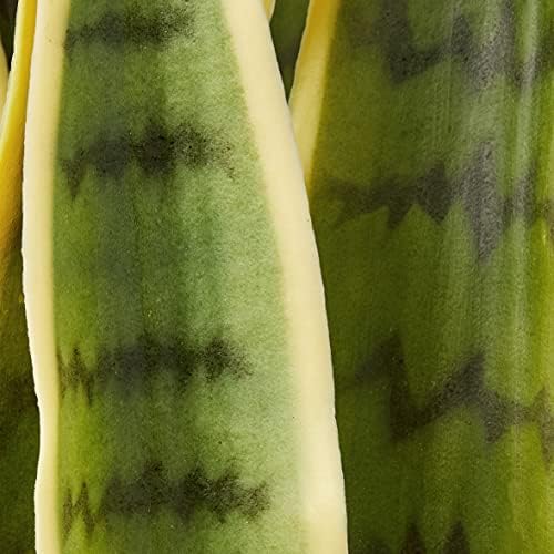 Nearly Natural 33” Sansevieria Artificial Silk Plants Green | 35 Variegated Leaves, Handcrafted Materials, Black Decorative Planter