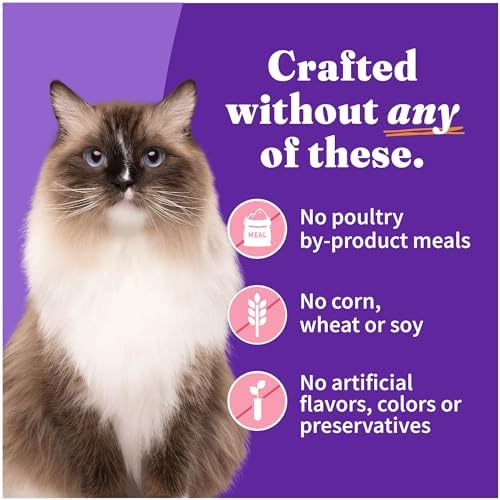 Halo Wet Cat Food Real Chicken Recipe, Grain-Free Wet Pate, Canned Cat Food for Extra Hydration, 5.5 Oz Can (Pack of 12)