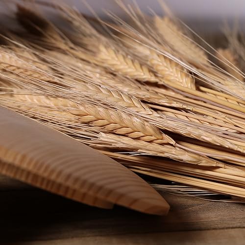 Organic Einkorn Wheat Berries - 3lbs