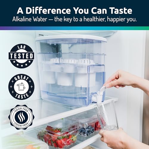 Invigorated Water Alkaline Water Filter Dispenser, 53-Cup Large Capacity