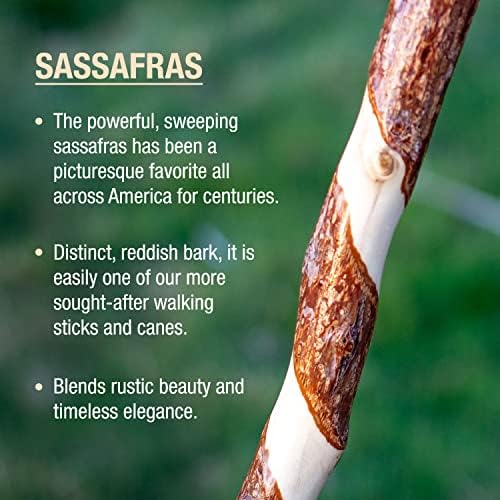 Brazos Wooden Walking Canes for Men and Women, Stable Walking Sticks for Seniors, Made in The USA