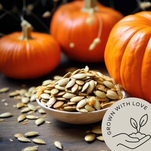 Organic Raw Pumpkin Seeds to Eat 2.8lb - Bulk Unsalted Pepitas No Shell | Whole Natural Snacks for Keto - High in Fiber - USDA Certified | Non-Gmo | Gluten Free | Vegan