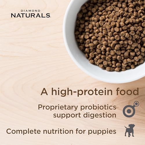 Diamond Naturals Small & Medium Breed Puppy Dry Dog Food, Chicken, 6lb | Puppy, Adult & Senior Dogs | High Protein | DHA for Proper Brain and Vision Development | Guaranteed Probiotics