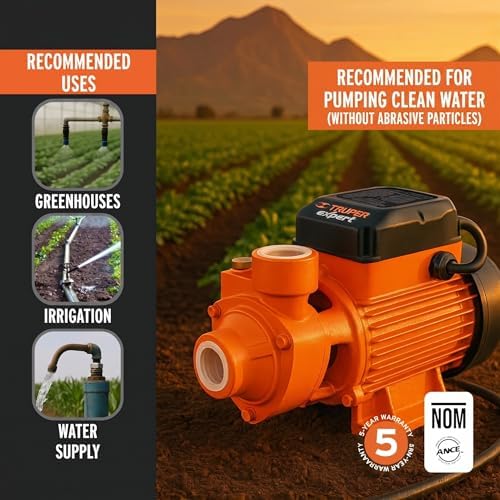 Truper Expert 1 HP Electric Peripheral Water Pump