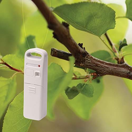 AcuRite 02049 Digital Thermometer with Indoor/Outdoor Temperature,White