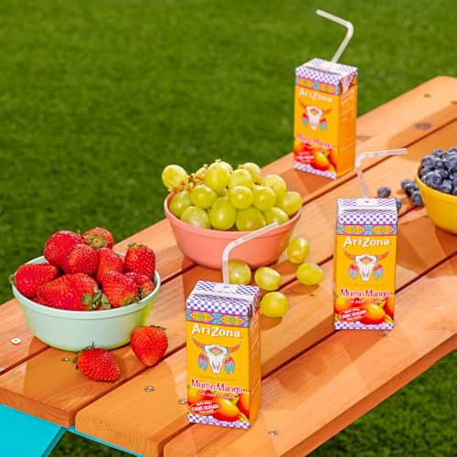 AriZona Fruit Punch, Juice Boxes | Cane Sugar | 6.75 fl oz (32 Pack)