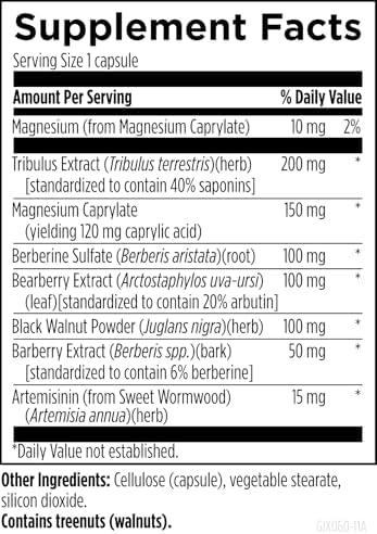 Designs for Health GI Microb-X - Botanical Gut Support, Cleanse + Detox Supplement with Tribulus, Berberine + Barberry Extract - Vegetarian + Non-GMO (60 Capsules)