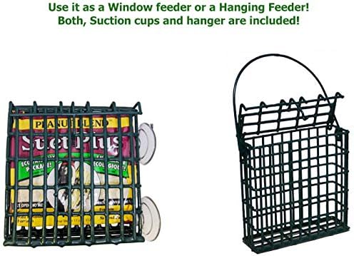 Wildlife Sciences Window Suet Feeder Cage Suet Cake Combo for Wild Birds | includes 1 Window Feeder and 11 ounce Peanut Suet Cake