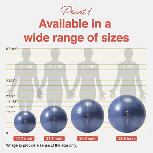 Primasole Exercise Ball for Balance Stability Fitness Workout Yoga Pilates at Home Office & Gym Birthing Ball for Pregnancy, Office Ball Chair