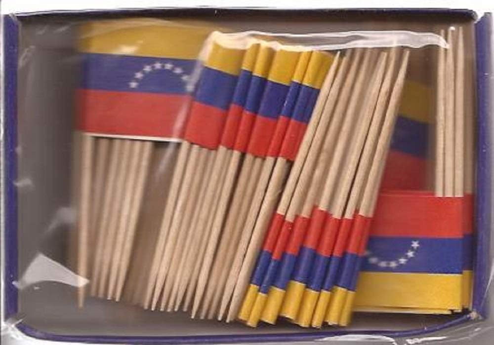 One Box of 100 Nicaragua Toothpick Flags, 100 Small Mini International Flag Cupcake Toothpicks or Cocktail Picks