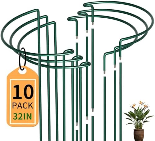 TCBWFY 10 Pack Garden Plant Support Stakes, 10" Widex16 High Heavy Duty Interlinked Half Round Peony Support Ring Cage for Indoor Outdoor Plants