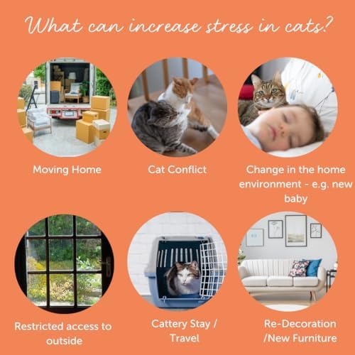 FELIWAY Cystease Advanced Urinary Tract Support for Cats (Pot Size: 30 Tablets)