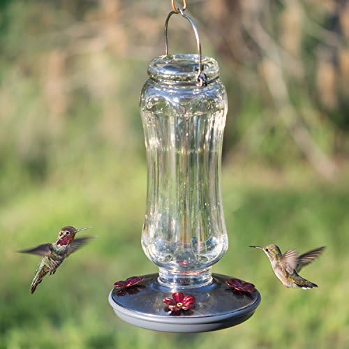 Perky Pet 8133-2 Daisy Vase Vintage Glass Hummingbird Feeder
