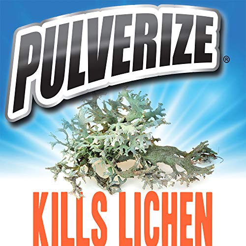 Pulverize Weed and Grass Killer Spray - Fast-Acting, Non-Selective Herbicide for Lawns