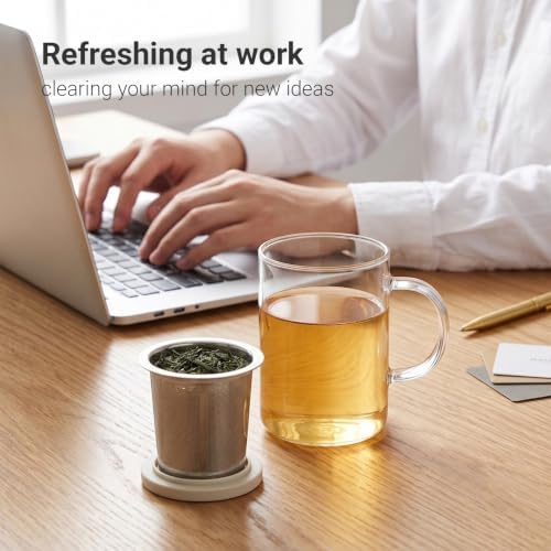 emoi 15 oz Glass Tea Cup with Infuser & Lid, Ideal for Loose Leaf Tea, Gray | Tea Mug with Extra Fine Mesh 304 Stainless Steel Steeper & Silicone Lid