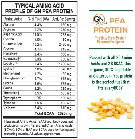 Raw Pea Protein Powder, Vegan Plant Based Protein, BCAA, Low-Carb, Low-Sugar, Chocolate Power, 1 Pound (Pack of 1)