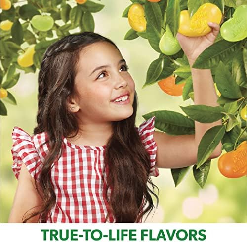 Jelly Belly Sunkist Tangerine Jelly Beans - 1 Pound (16 Ounces) Resealable Bag - Genuine, Official, Straight from the Source