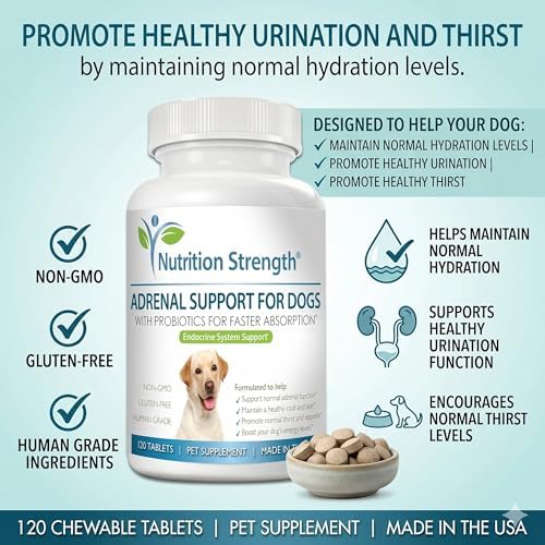 Adrenal Support for Dogs with Cushing's Disease | Maintain a Healthy Coat and Skin | Promote Normal Urination