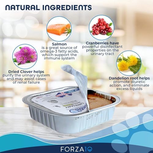 Forza10 Urinary Wet Cat Food for Adult Cats - 3.5 oz, 32 Pack - Salmon | Actiwet Urinary Tract Support for Adult Cats - Vet-Formulated