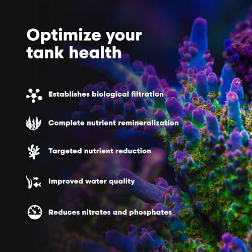 Brightwell Aquatics MicroBacter7 Biological Filter Bioculture Aid, 500 ml