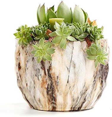 SE SUN-E Sun-E Modern Style Marbling Ceramic Flower Pot Succulent/Cactus Planter Pots Container Bonsai Planters with Hole 3.35 Inch Gift Idea(4 in