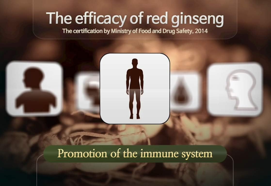 Authentic 6years Korean Red Ginseng - 300mg X 200 Tablets - Healthy Immune Support, Improving Blood Flow and Memory - 100% Red Ginseng Extract
