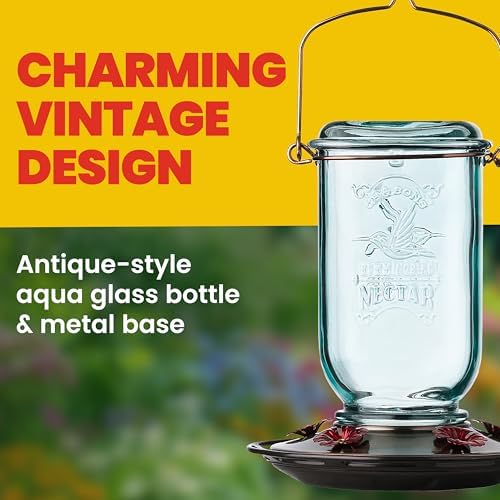 More Birds Mason Jar Hummingbird Feeder, Glass Hummingbird Feeders for Outdoors, 5 Feeding Stations, 25 Ounces