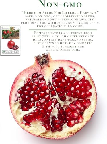 Pomegranate Tree Seeds (Punica granatum) – 30+ Non-GMO Fruit Tree Seeds for Planting, Beautiful Ornamental Tree with Sweet Edible Fruit