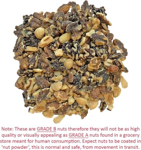 Exotic Nutrition Premium Nut Mix - Unroasted, Unsalted Walnuts, Hazelnuts, Almonds - Food & Treat for Squirrels, Parrots & Other Small Pets (5 lb.)